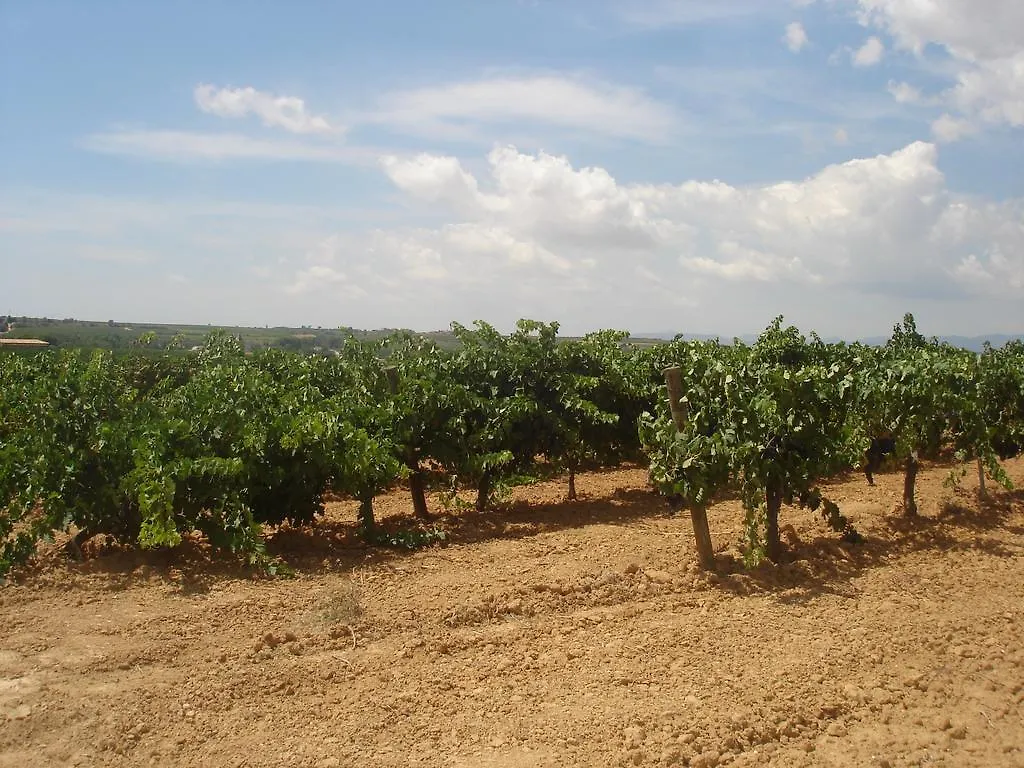 Agroturisme Cal Jeroni Avinyonet del Penedes Country house